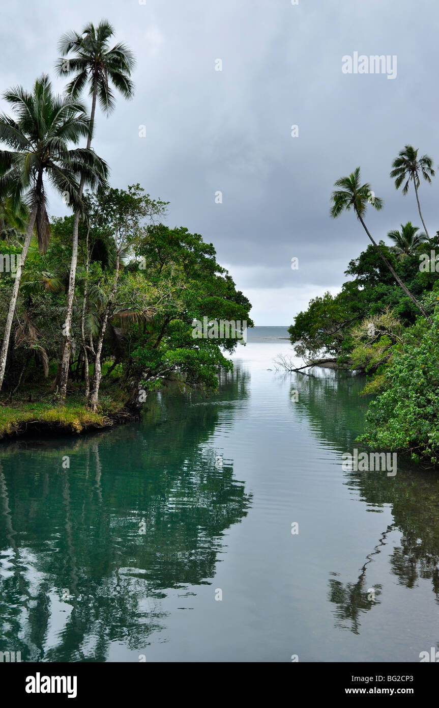 New Caledonia north east coast, mangrove and palm trees. Stock Photo