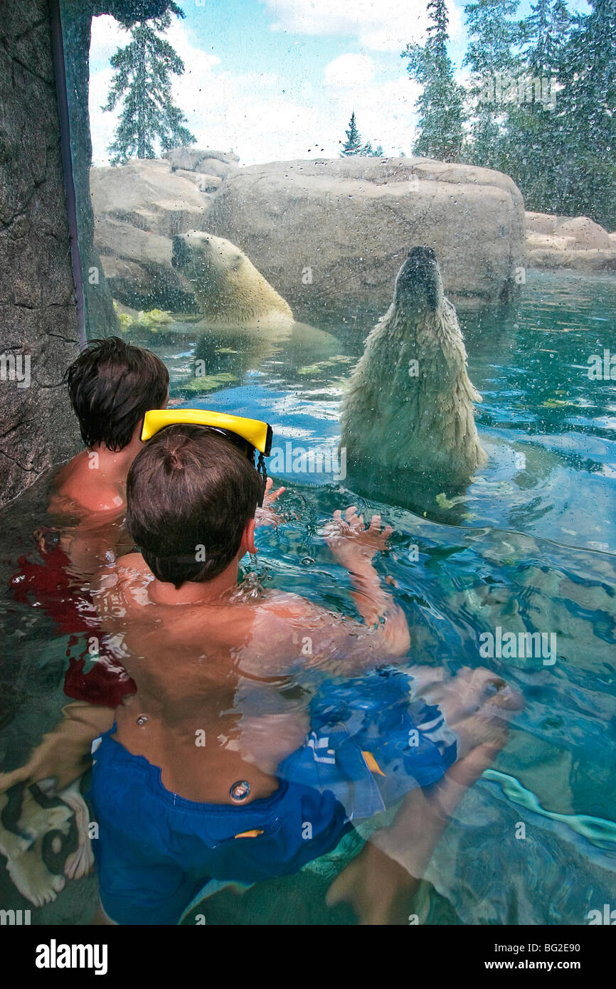 Boys in wading pool with polar bear at Cochrane Polar Bear Conservation