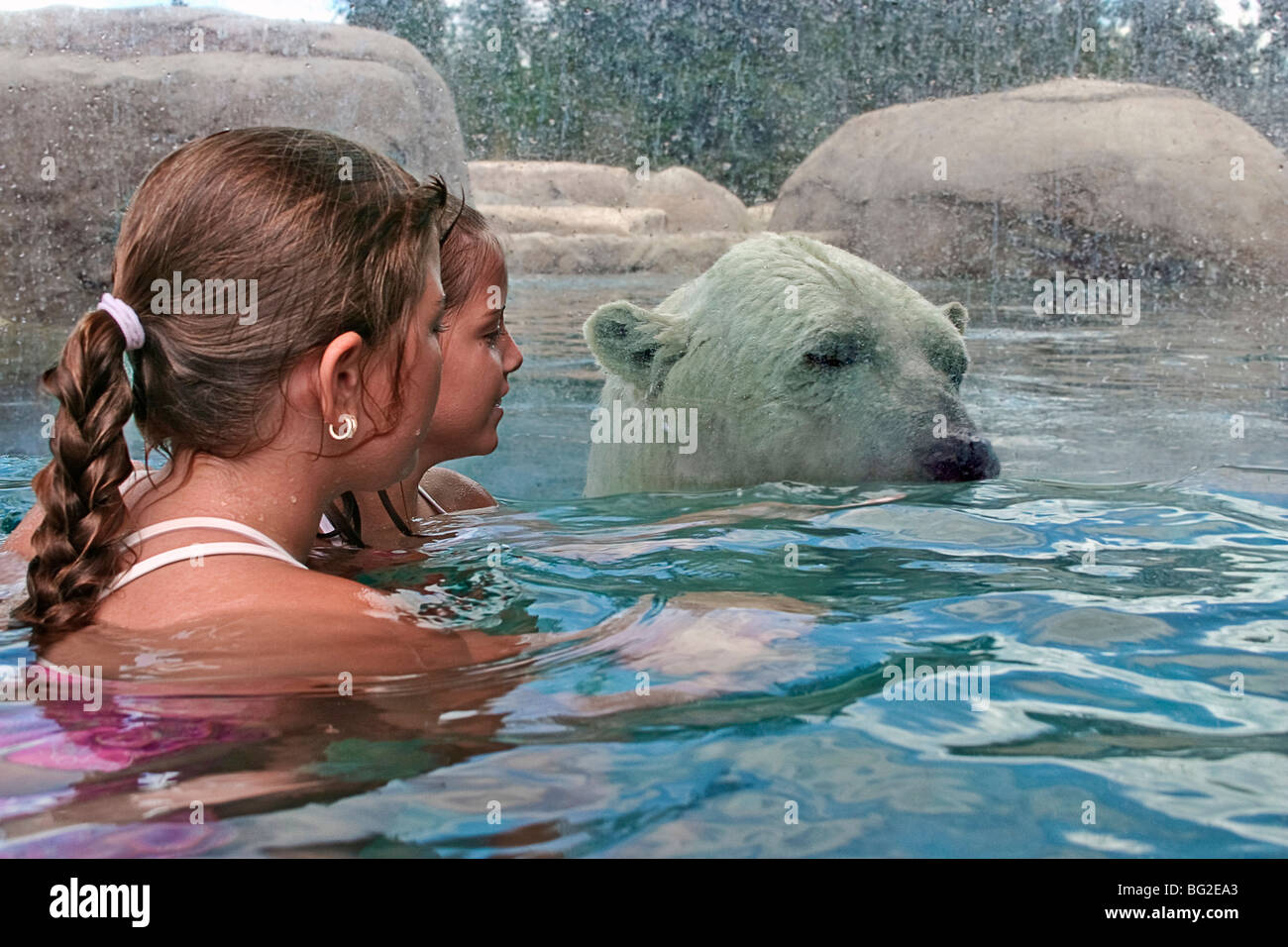 Cochrane polar bear habitat hi res stock photography and images alamy