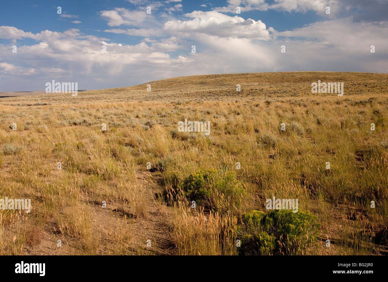 High sagebrush desert, north of Rocksprings, Wyoming, USA, North America. Stock Photo