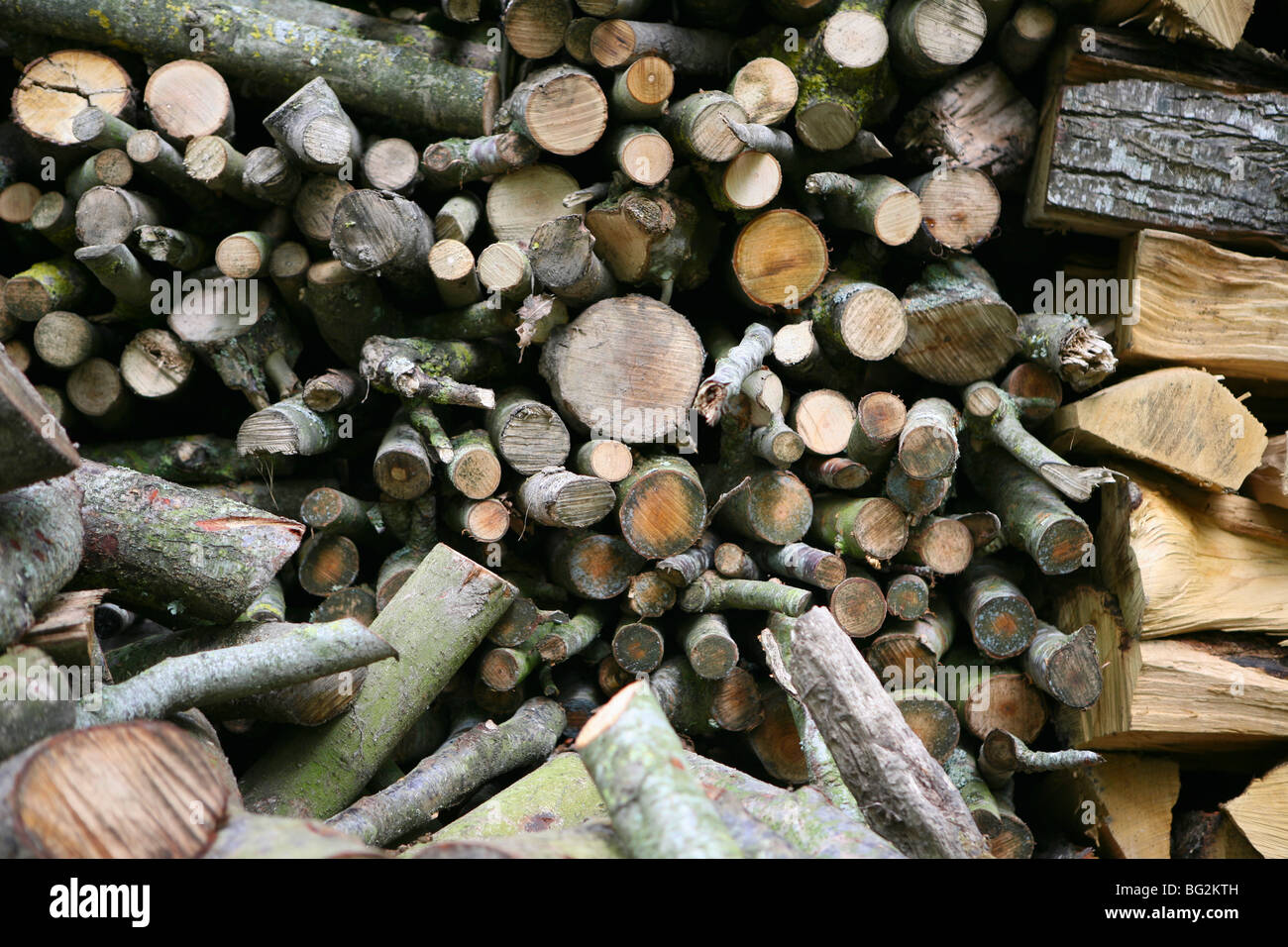 firewood pile/ woodpile / wooden logs stacked up Stock Photo