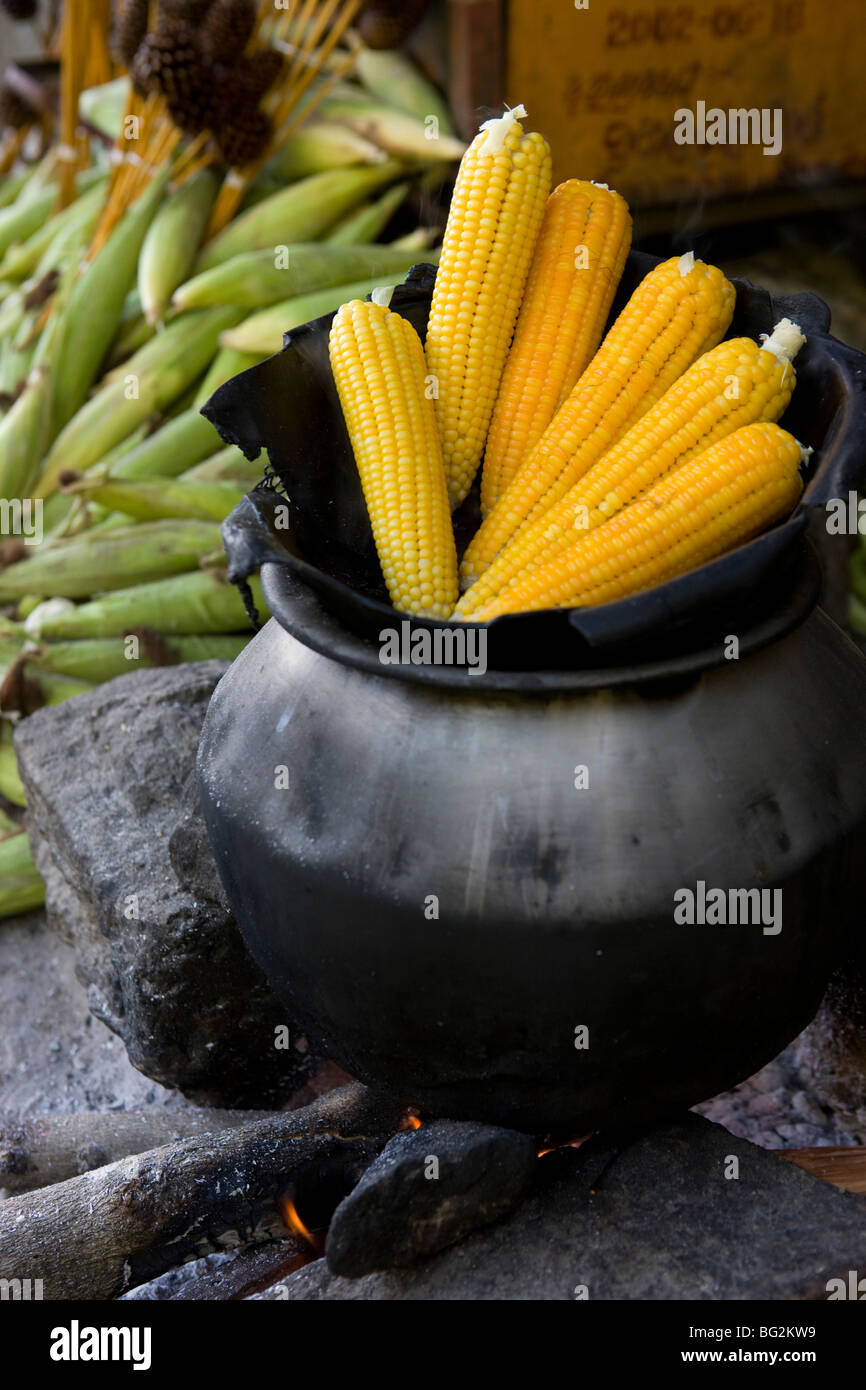Corn on the Cob, Sri Lanka Stock Photo