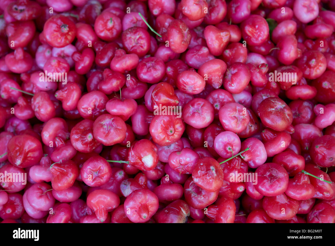 Exotic fruits, Sri Lanka Stock Photo Alamy