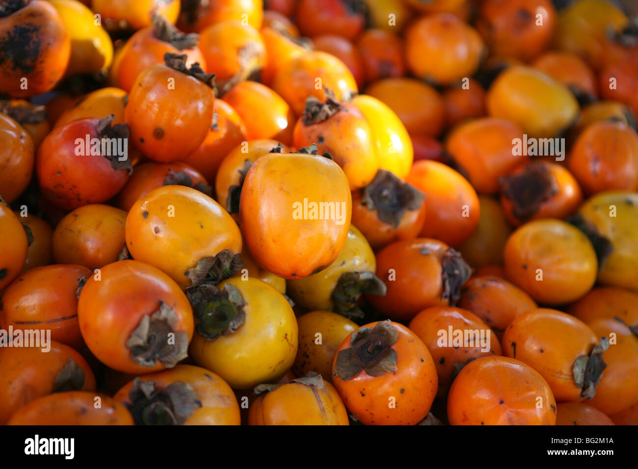 Diospyros - Persimmon fruits Stock Photo