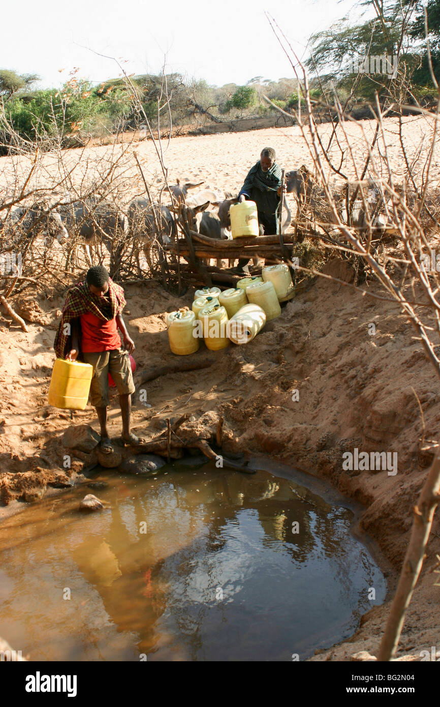 Africa, Tanzania, Lake Eyasi, Hadza men collecting water from the muddy almost dry waterhole. Stock Photo