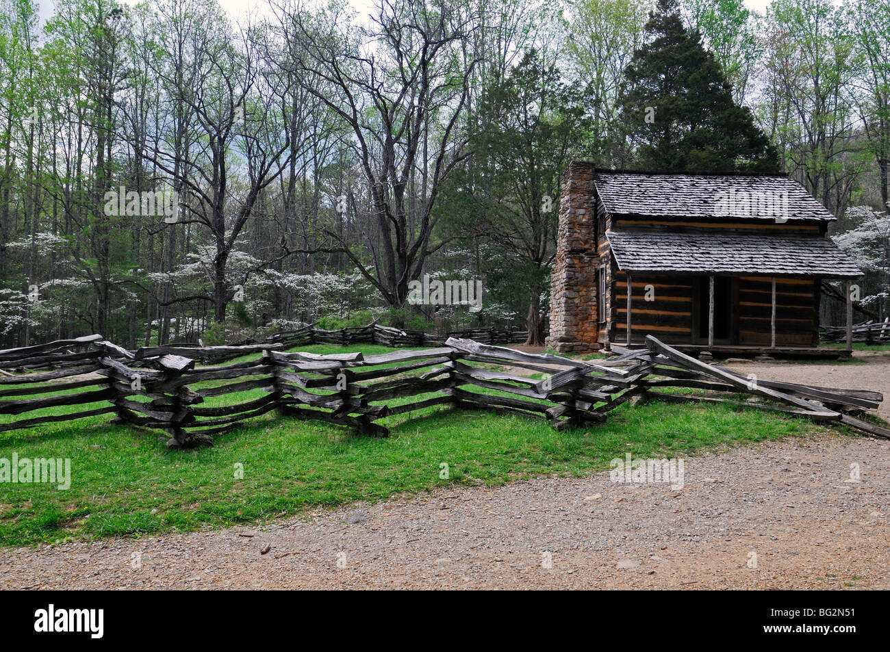 John Oliver Cabin homestead and rail fence and white dogwoods in bloom cades cove Great Smoky Mountains National Park Tennessee Stock Photo