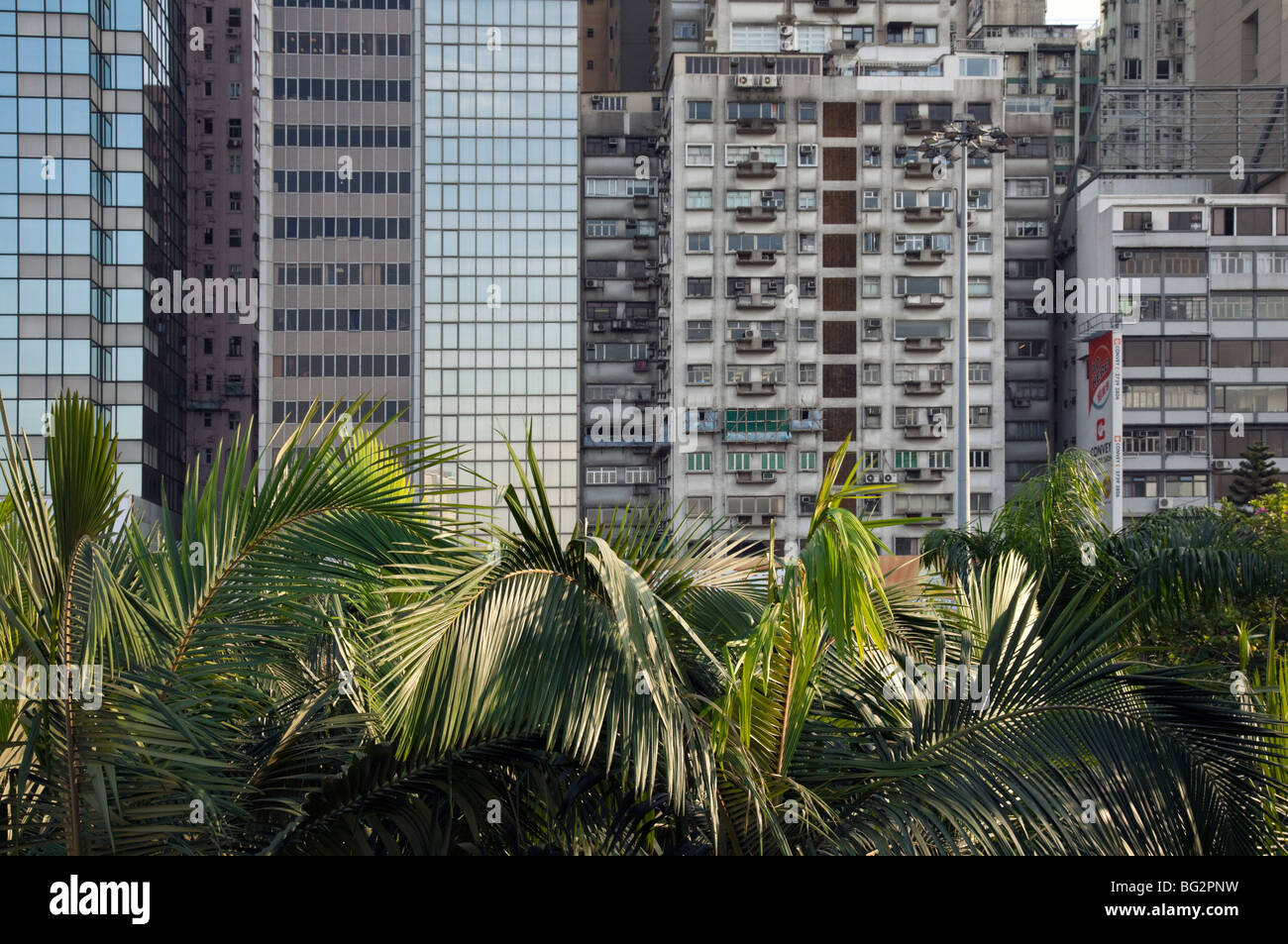 Skyscrapers and Palm trees in Hong Kong Stock Photo Alamy