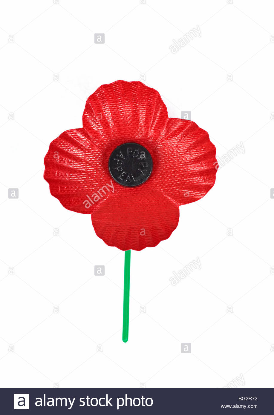 Remembrance Red Poppy isolated on a white background Stock Photo