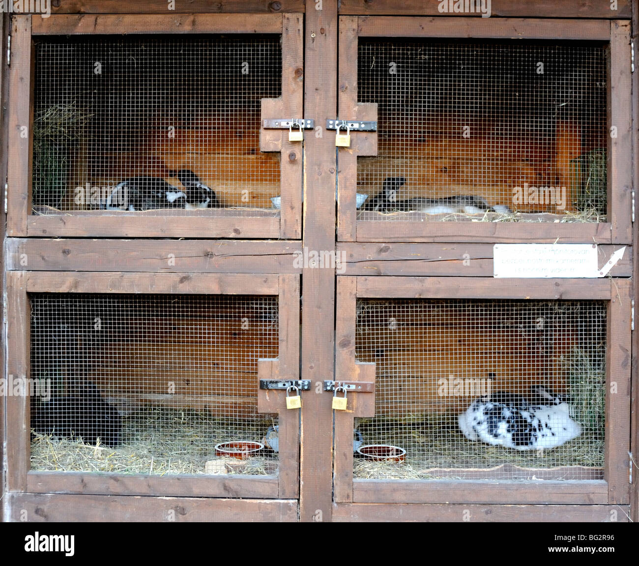 Rabbit hutch hires stock photography and images Alamy