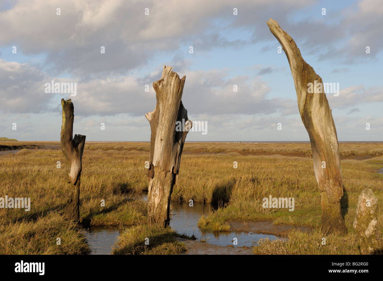 Old wooden jetty viewed over the marshes at Thornham. Stock Photo