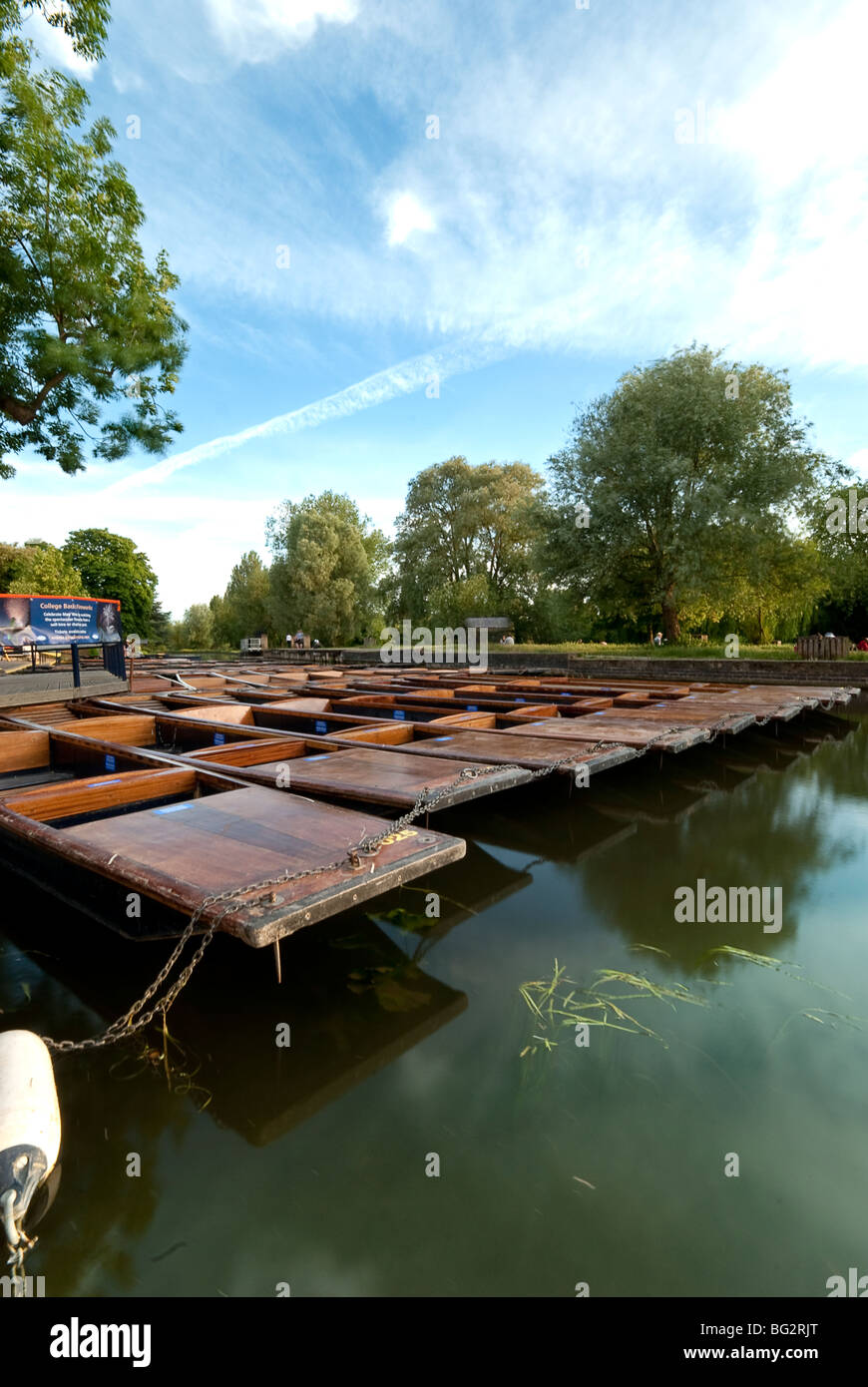 Punts on the River Cam at Scudamores Punt hire Cambridge Stock Photo