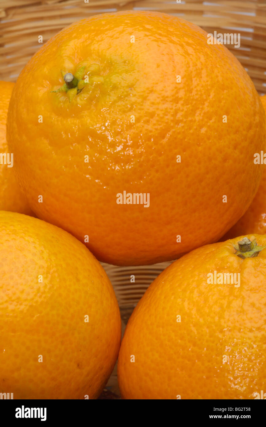 Fresh satsumas hires stock photography and images Alamy