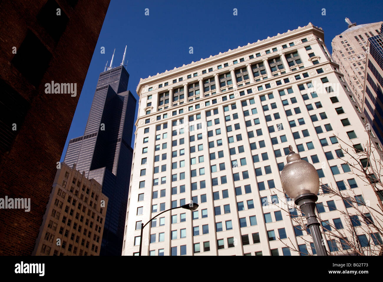 Sears Willis Tower among other buildings in downtown Chicago against a blue sky Stock Photo