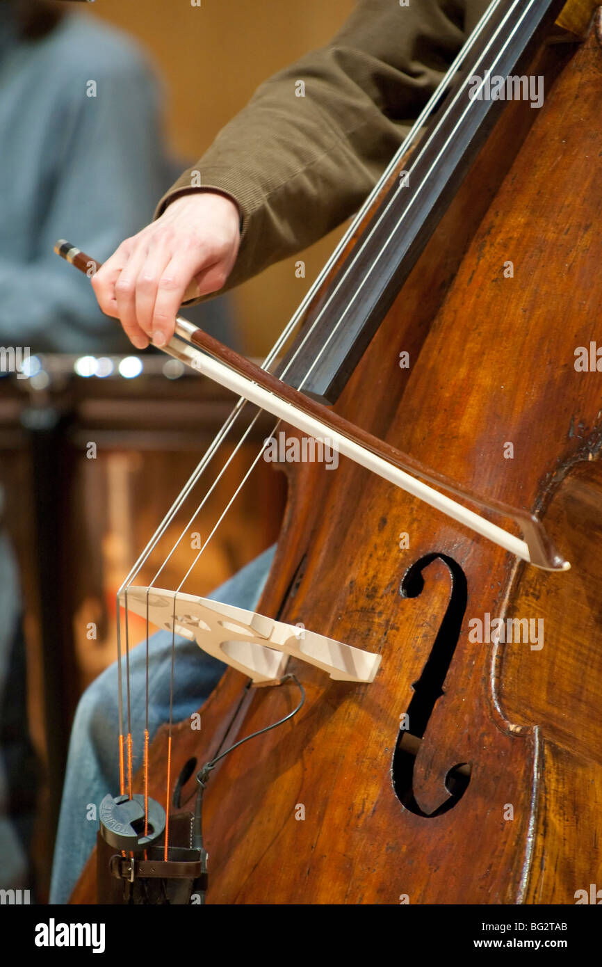 Double Bass Stock Photo