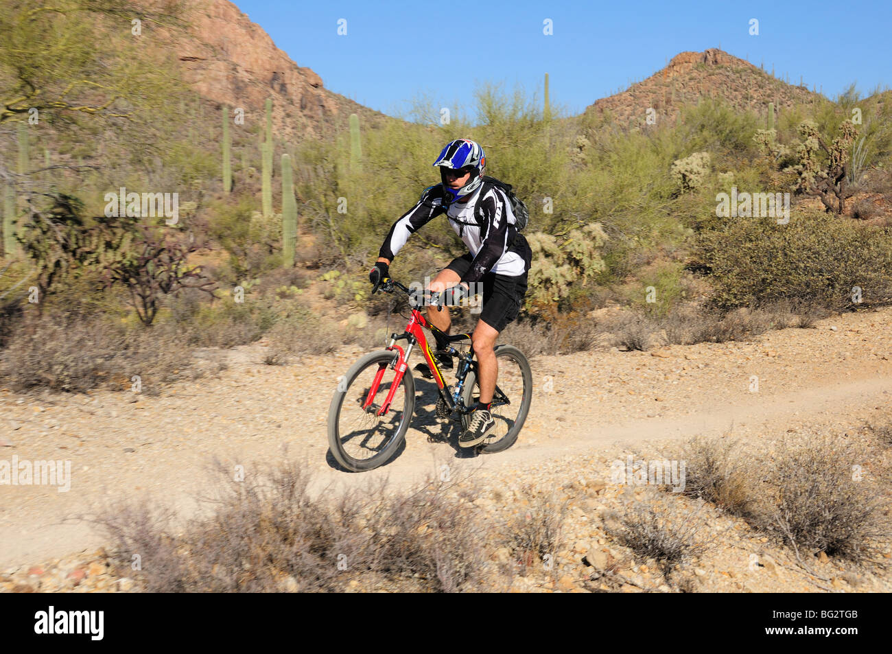 A cyclist rides in the Sonoran Desert on the Starr Pass Trail in Tucson Mountain Park, Tucson, Arizona, USA. Stock Photo