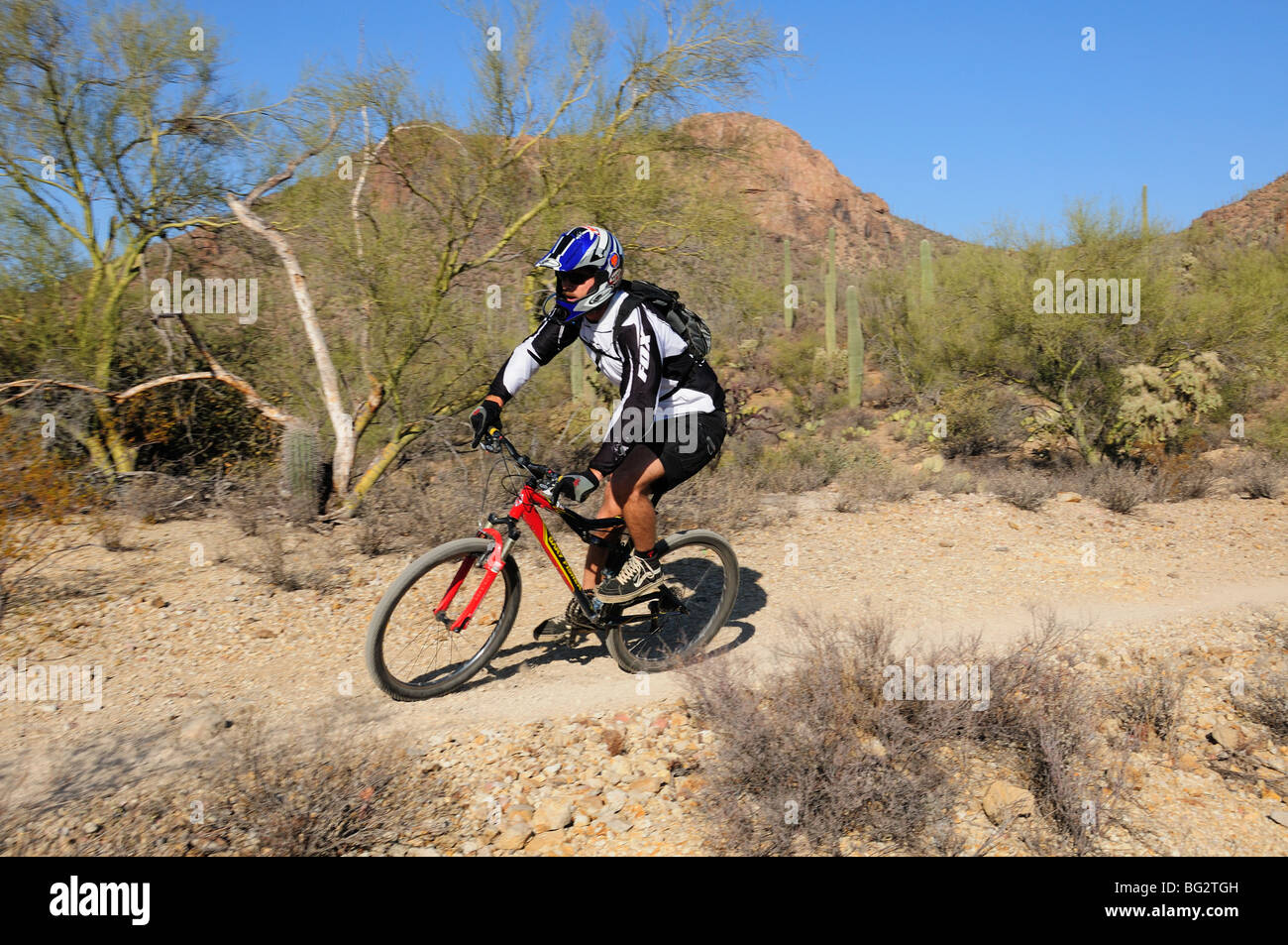 A cyclist rides in the Sonoran Desert on the Starr Pass Trail in Tucson Mountain Park, Tucson, Arizona, USA. Stock Photo