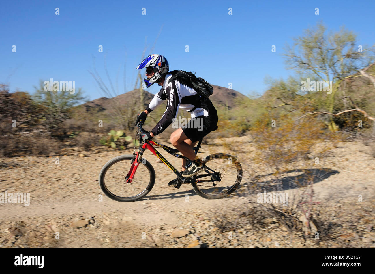 A cyclist rides in the Sonoran Desert on the Starr Pass Trail in Tucson Mountain Park, Tucson, Arizona, USA. Stock Photo
