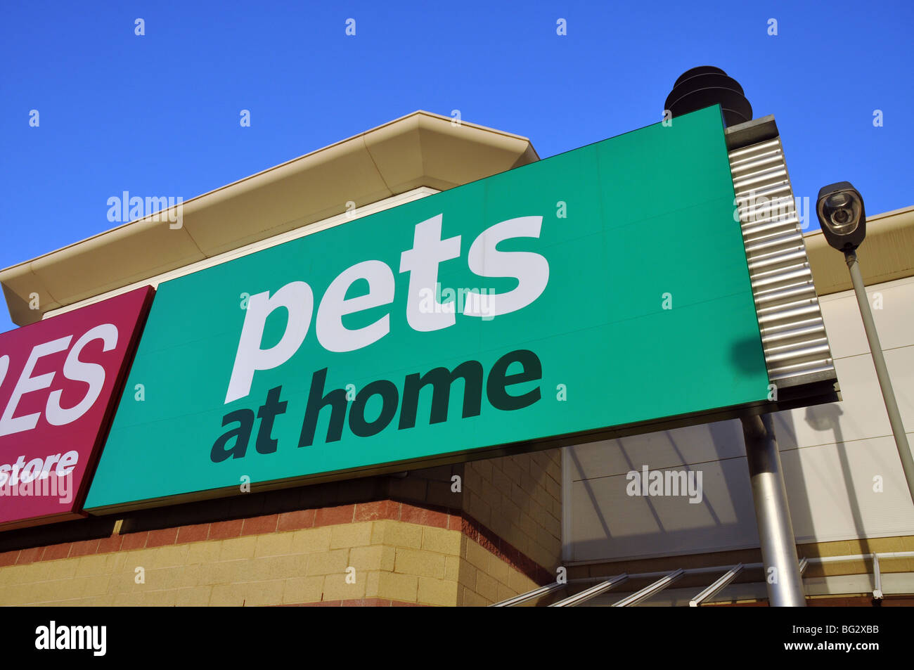 pets at home shop in Torquay Stock Photo Alamy