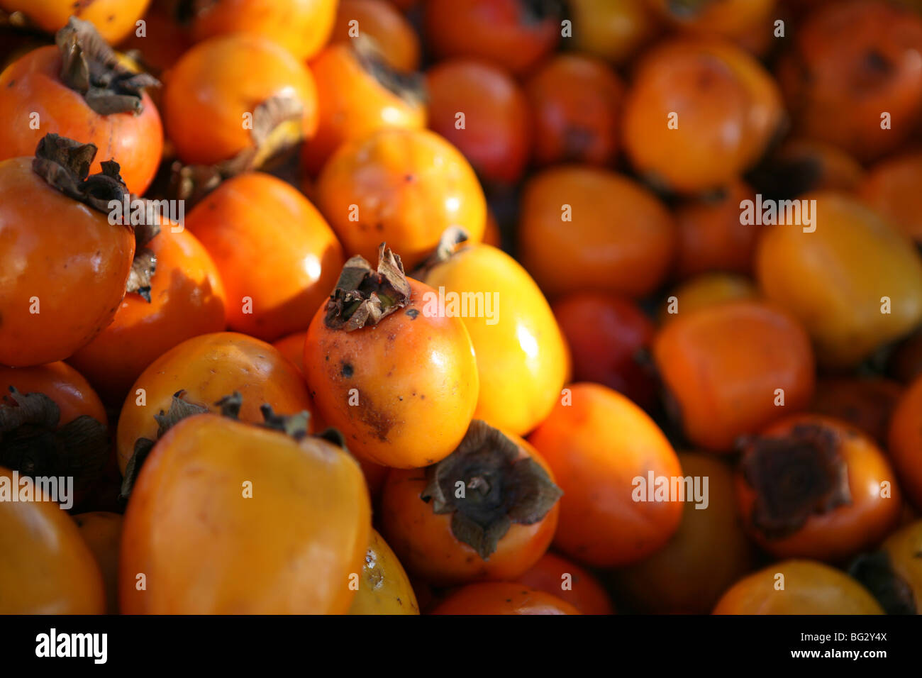 Diospyros kaki - Persimmon fruits close up Stock Photo