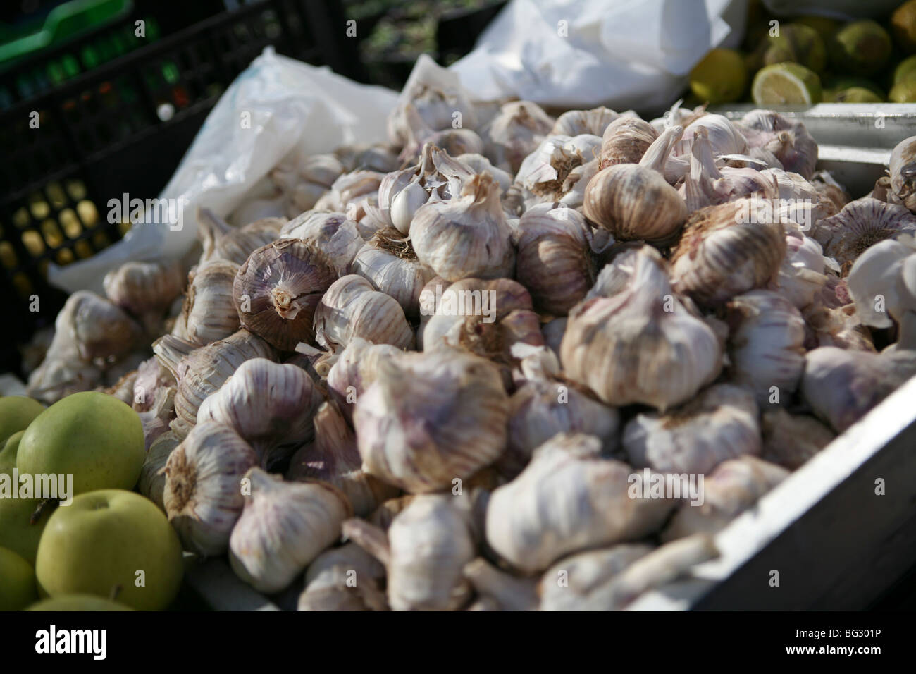 Whole garlic bulbs for sale in a Spanish market, dappled light. Stock Photo