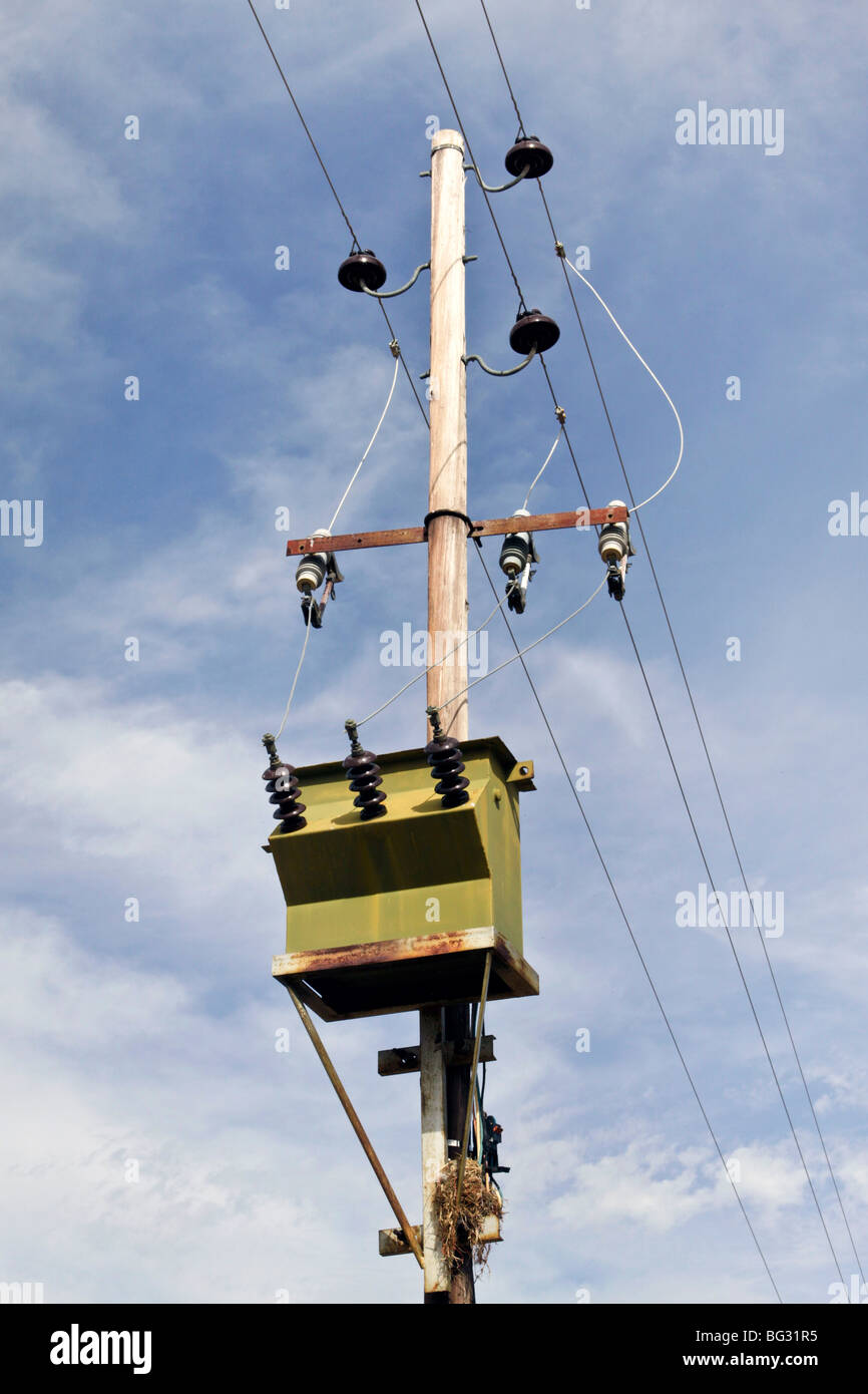 AC high-voltage power transformer on a farm in South Africa. Stock Photo