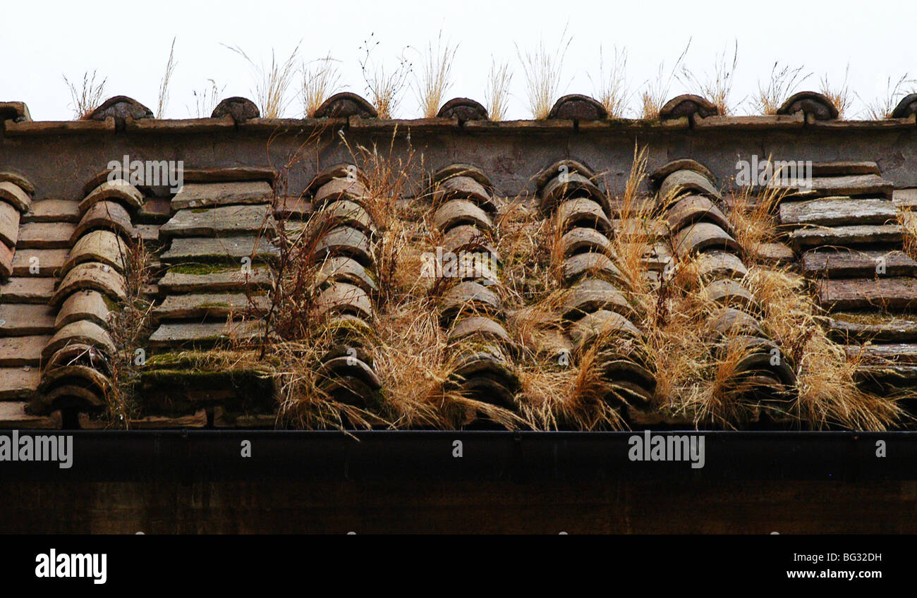 Grass Tiles Stock Photos & Grass Tiles Stock Images - Alamy