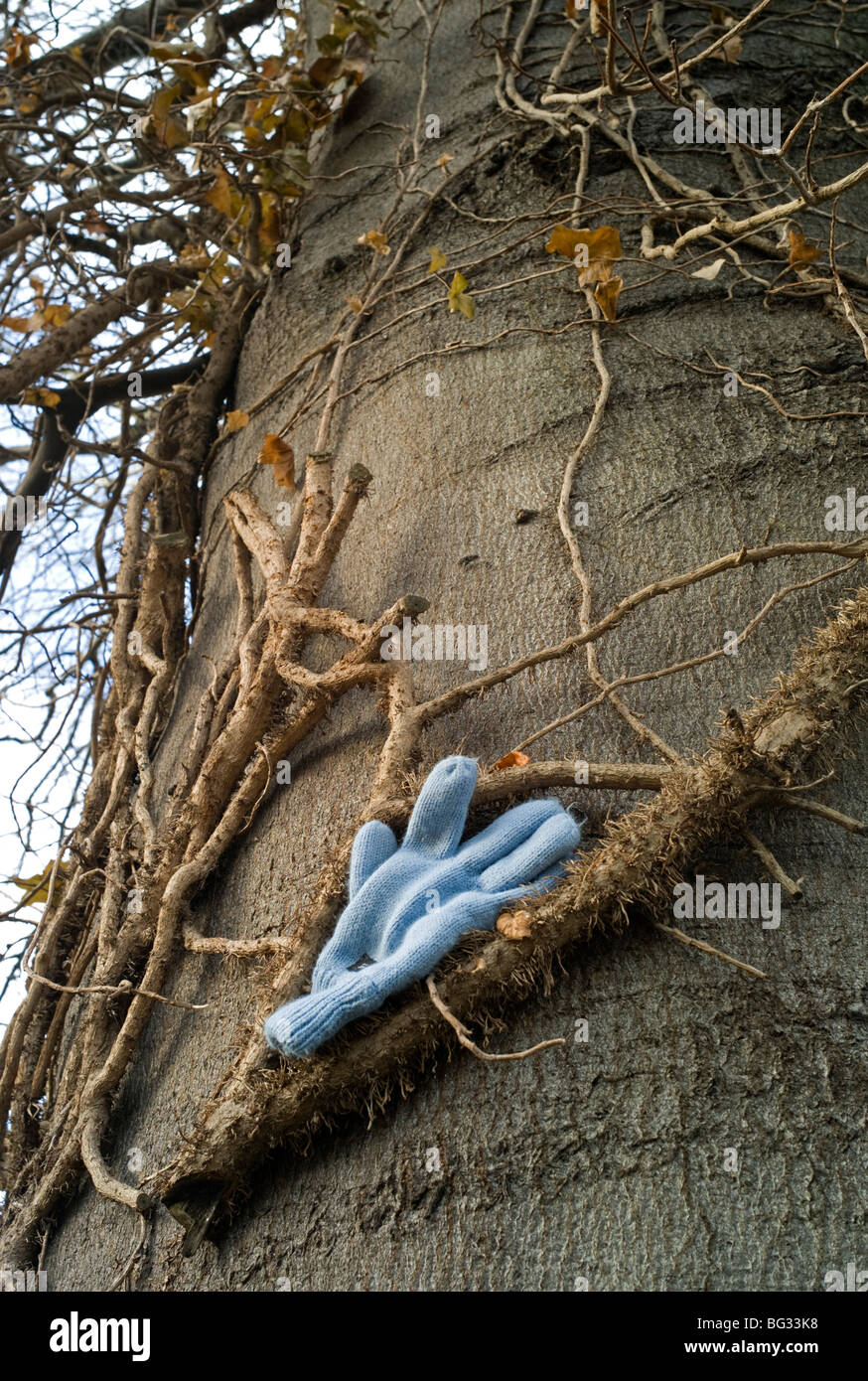 Lost glove placed on tree trunk Stock Photo