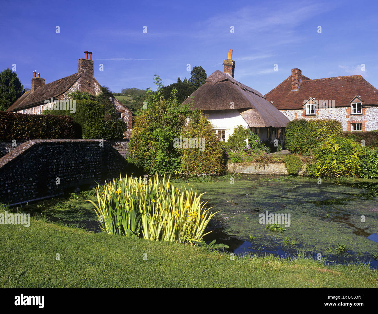 Singleton West Sussex England UK. Country village green and pond Stock
