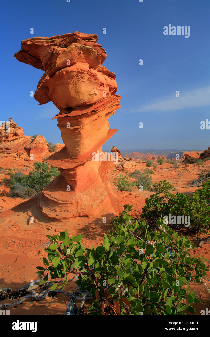 Lighthouse shaped formation in the BLM administered Vermilion Cliffs National Monument, Arizona Stock Photo