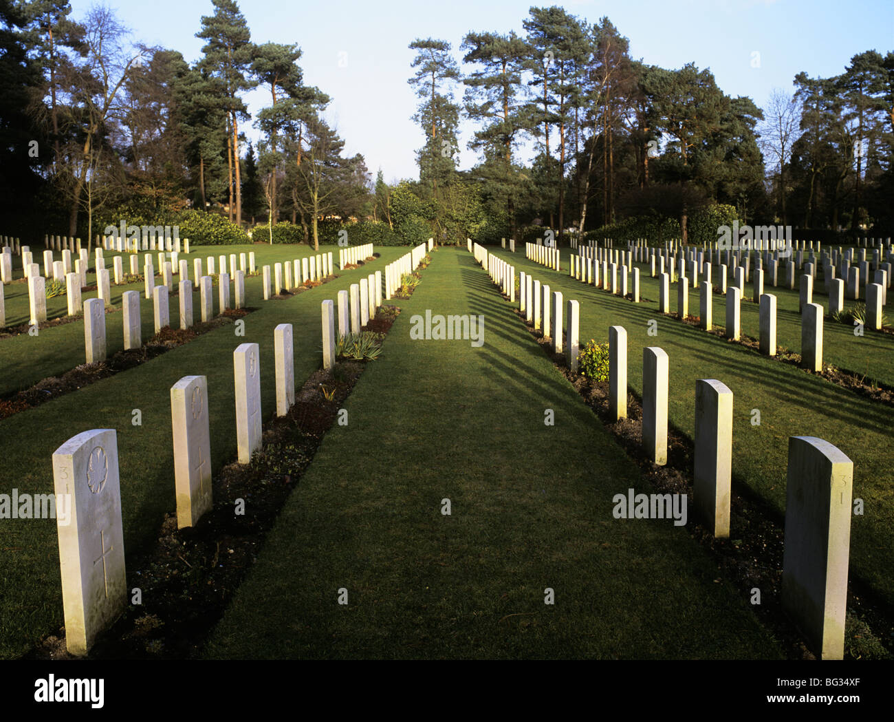 Brookwood Surrey England UK Rows of military headstones in the cemetery