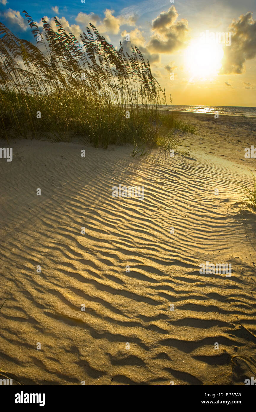 Sand Dune Ripple Pattern With Dune Grass & Sunrise, Hilton Head Island, South Carolina, USA Stock Photo