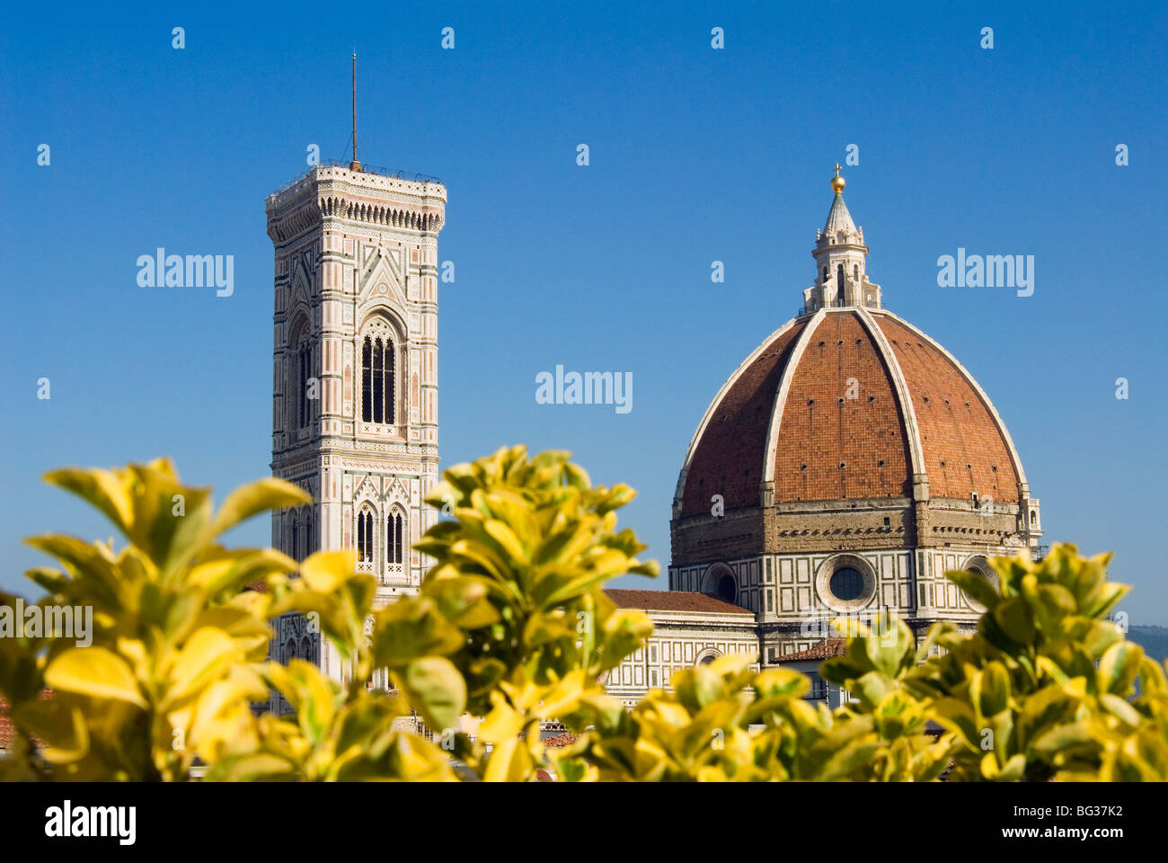 The Duomo (cathedral) , Florence (Firenze), UNESCO World Heritage Site, Tuscany, Italy, Europe Stock Photo