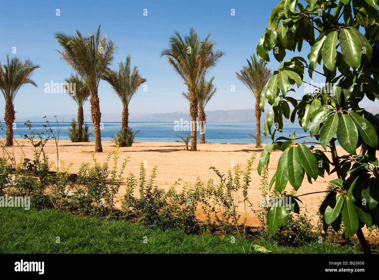 Tala Bay Beach, Tala Bay, Aqaba, Jordan, Middle East Stock Photo Alamy
