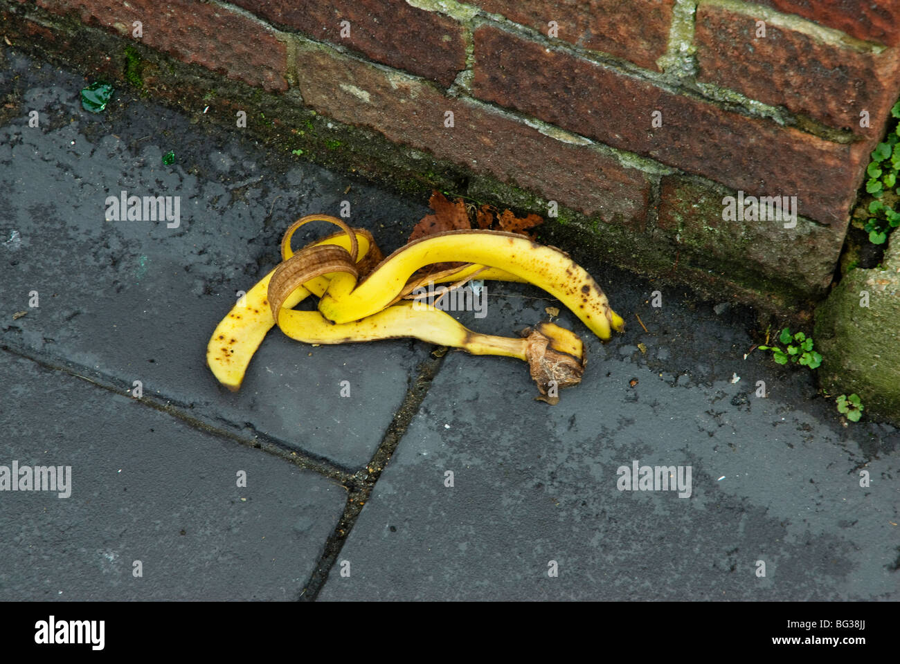 Banana skin on  pavement Stock Photo