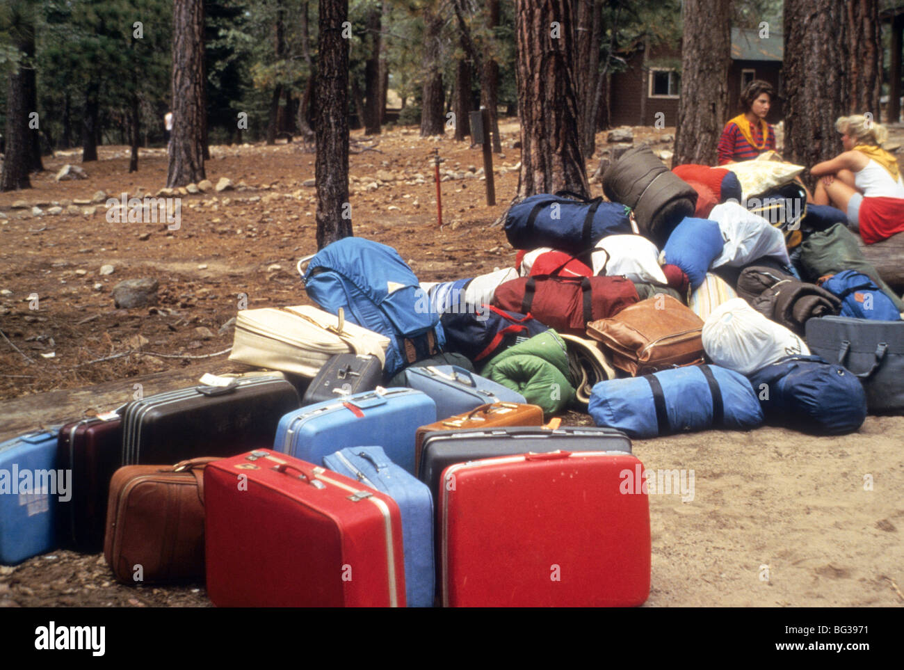 sleeping bag tree forest teen fun recreation stack pile travel home