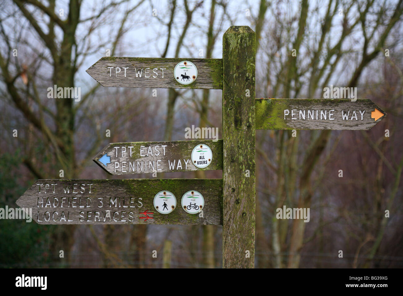 Wooden finger post marking TPT West, Pennine Way and TPT East routes for walkers, cyclists and riders, Longdendale, Derbyshire, Peak District, England. Stock Photo