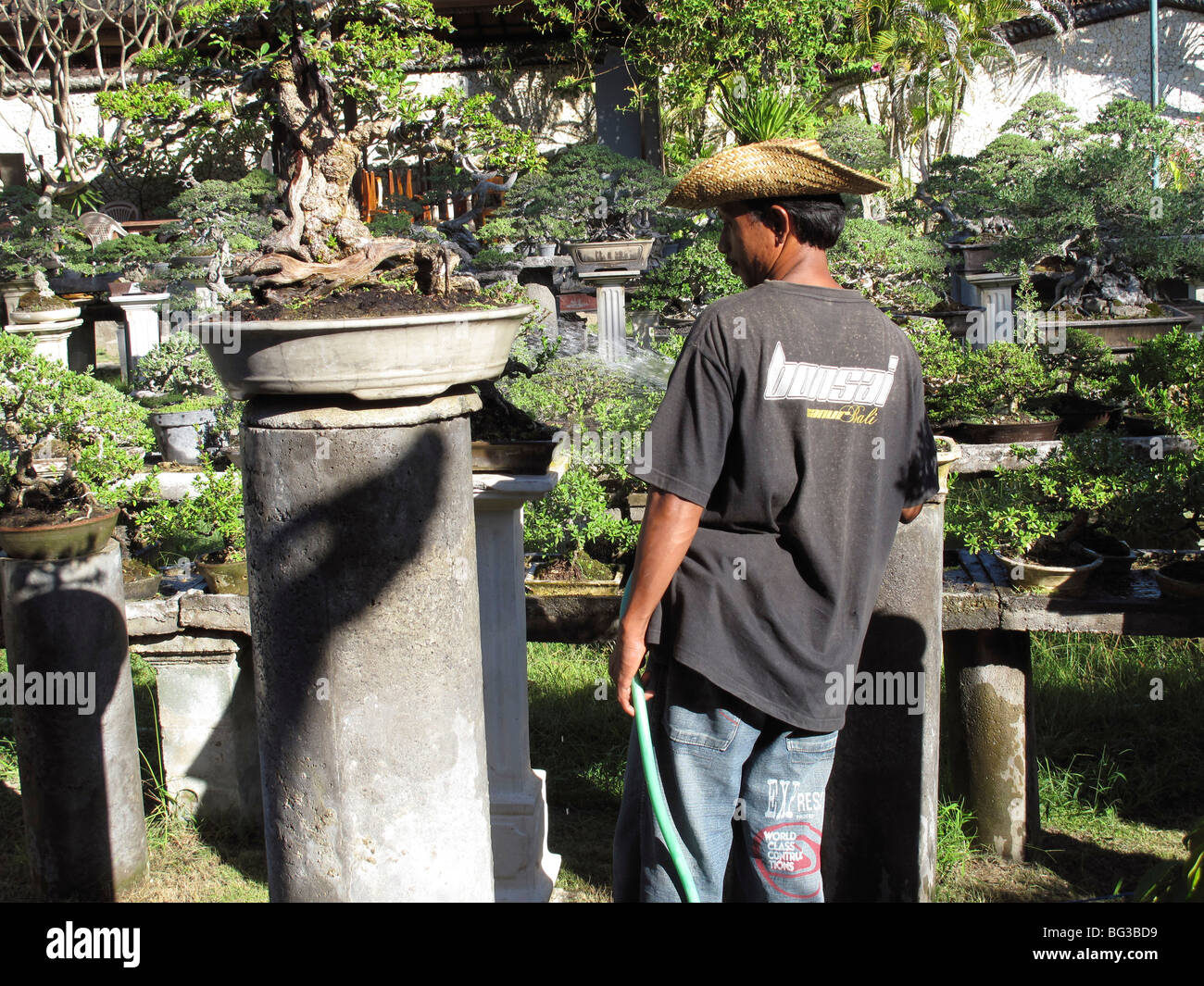 Bonsai restaurant in Sanur beach, Bali, Indonesia, very important