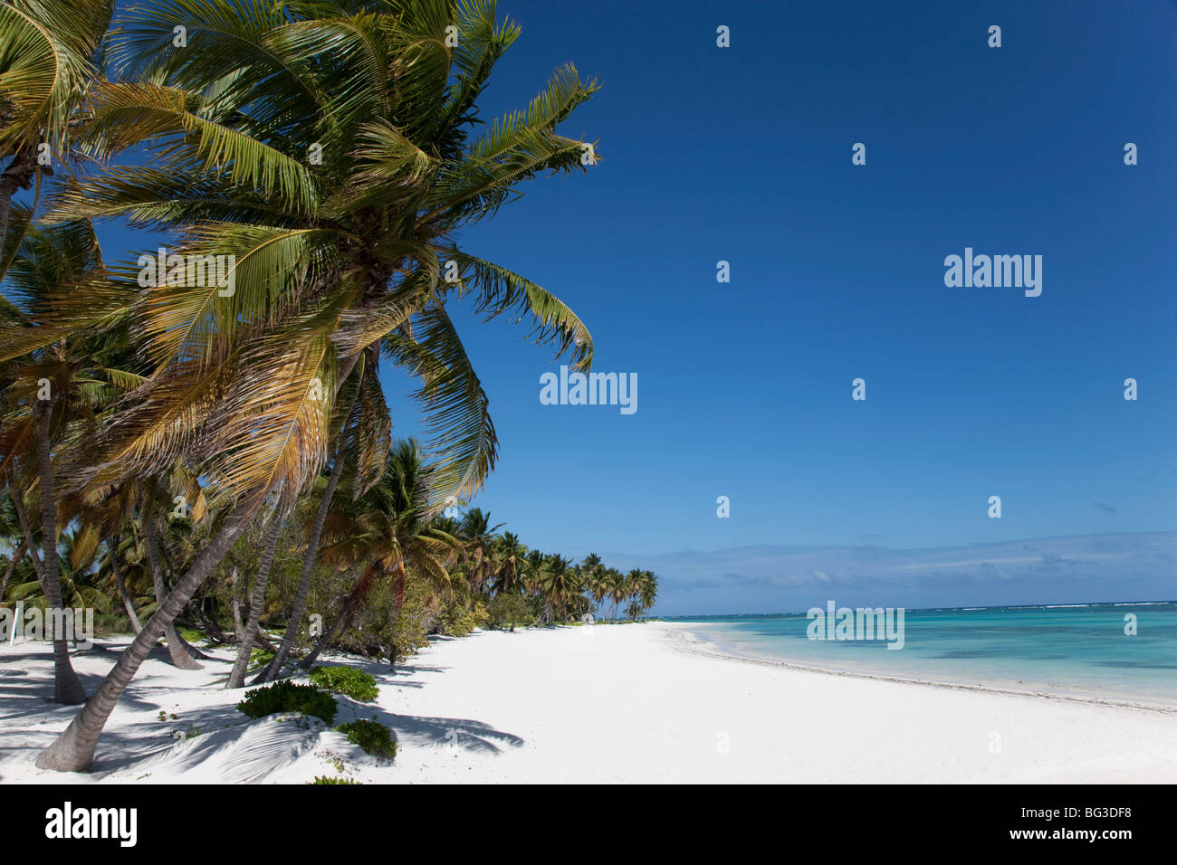 Punta Cana, Dominican Republic, West Indies, Caribbean, Central America Stock Photo