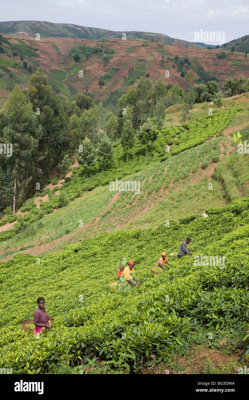 Village of Masango, Cibitoke Province, Burundi, Africa Stock Photo
