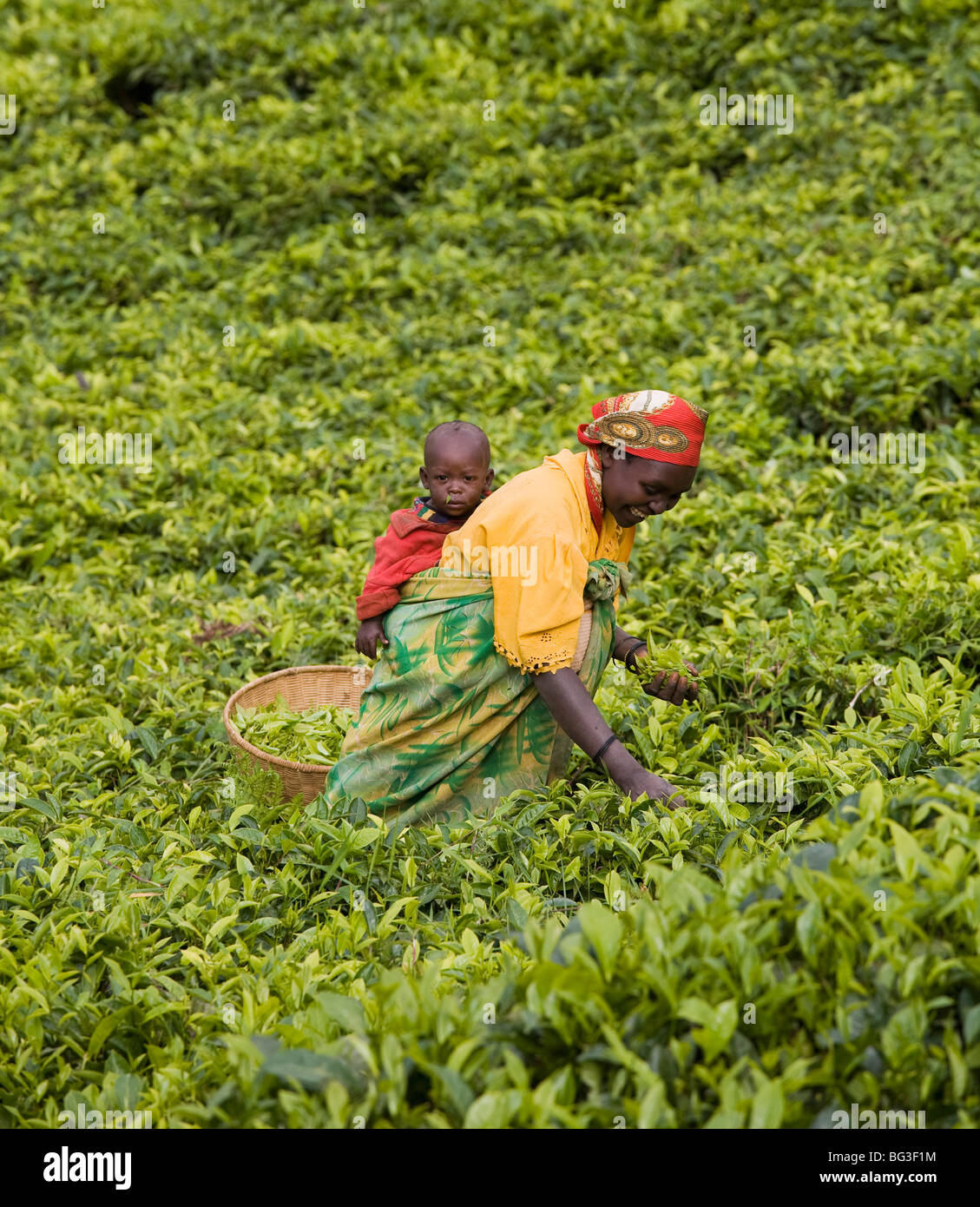 Village of Masango, Province of Cibitoke, Burundi, Africa Stock Photo