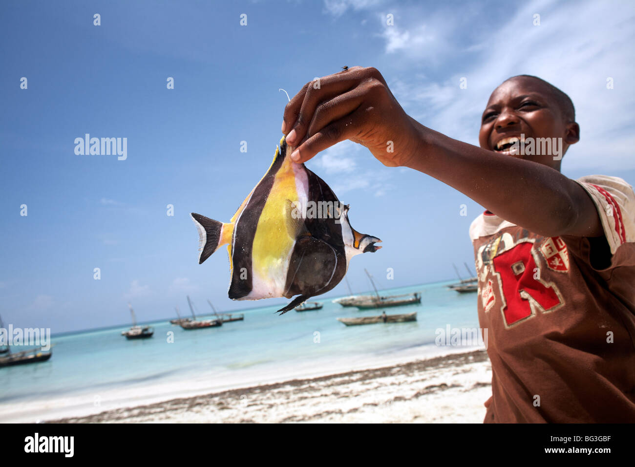 Tropical fish on nungwi beach hi-res stock photography and images - Alamy