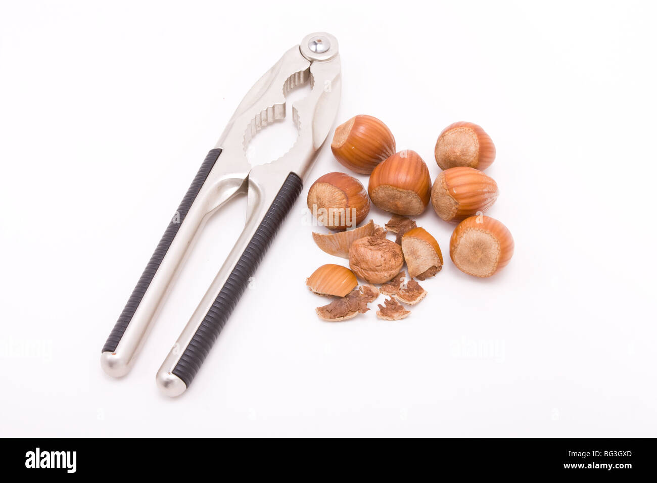 Hazelnut cracked open with nut cracker isolated against white
