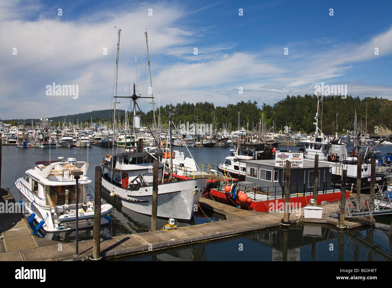 Boat Marina, Anacortes Port, Washington State, United States of America, North America Stock Photo