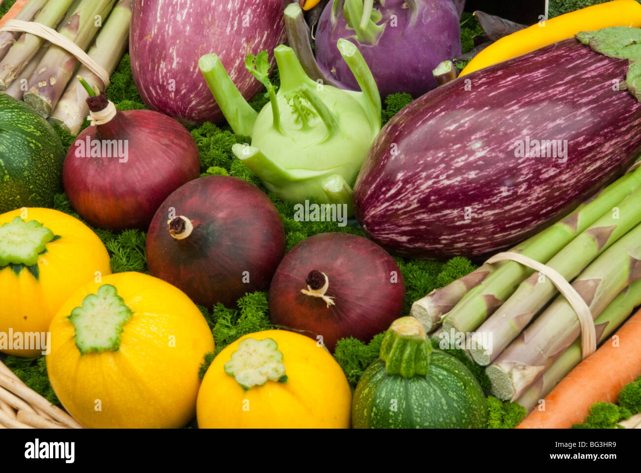Squash, Eggplant, Asparagus, Kohlrabi, Onion, Zucchini, carrot Harvested Vegetables Stock Photo