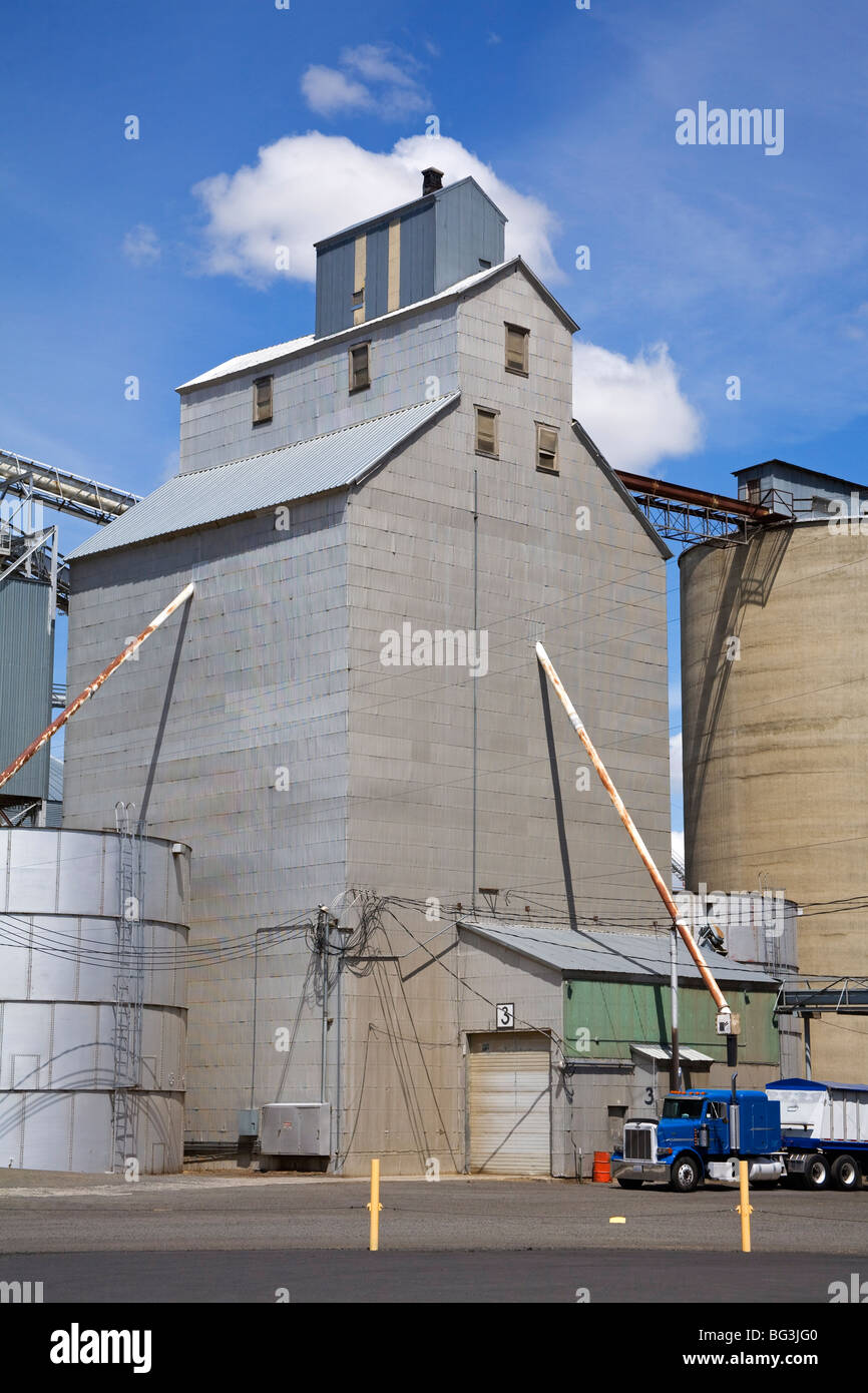 Grain elevators, Ritzville, Washington State, United States of America, North America Stock Photo