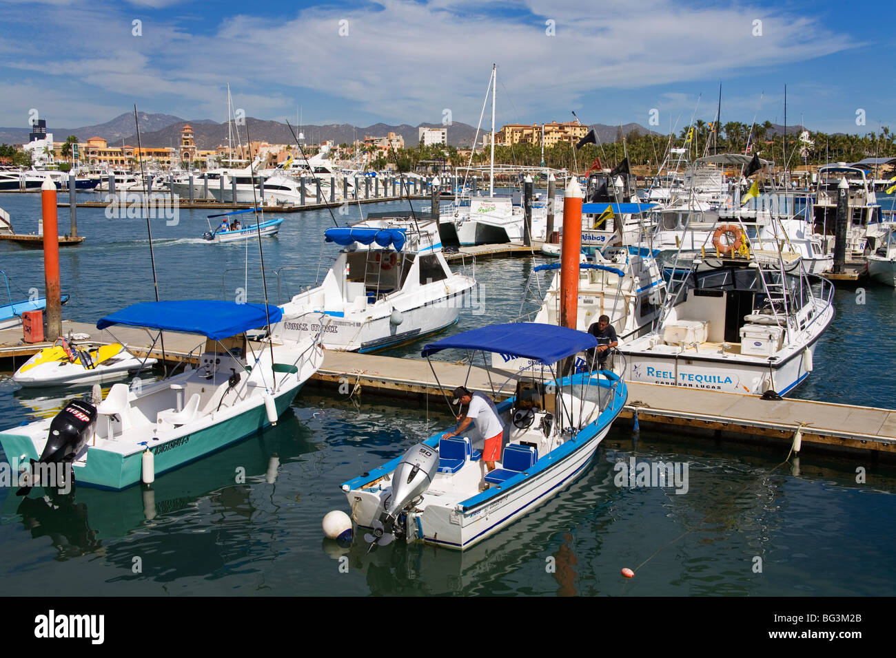 Marina, Cabo San Lucas, Baja California, Mexico, North America Stock