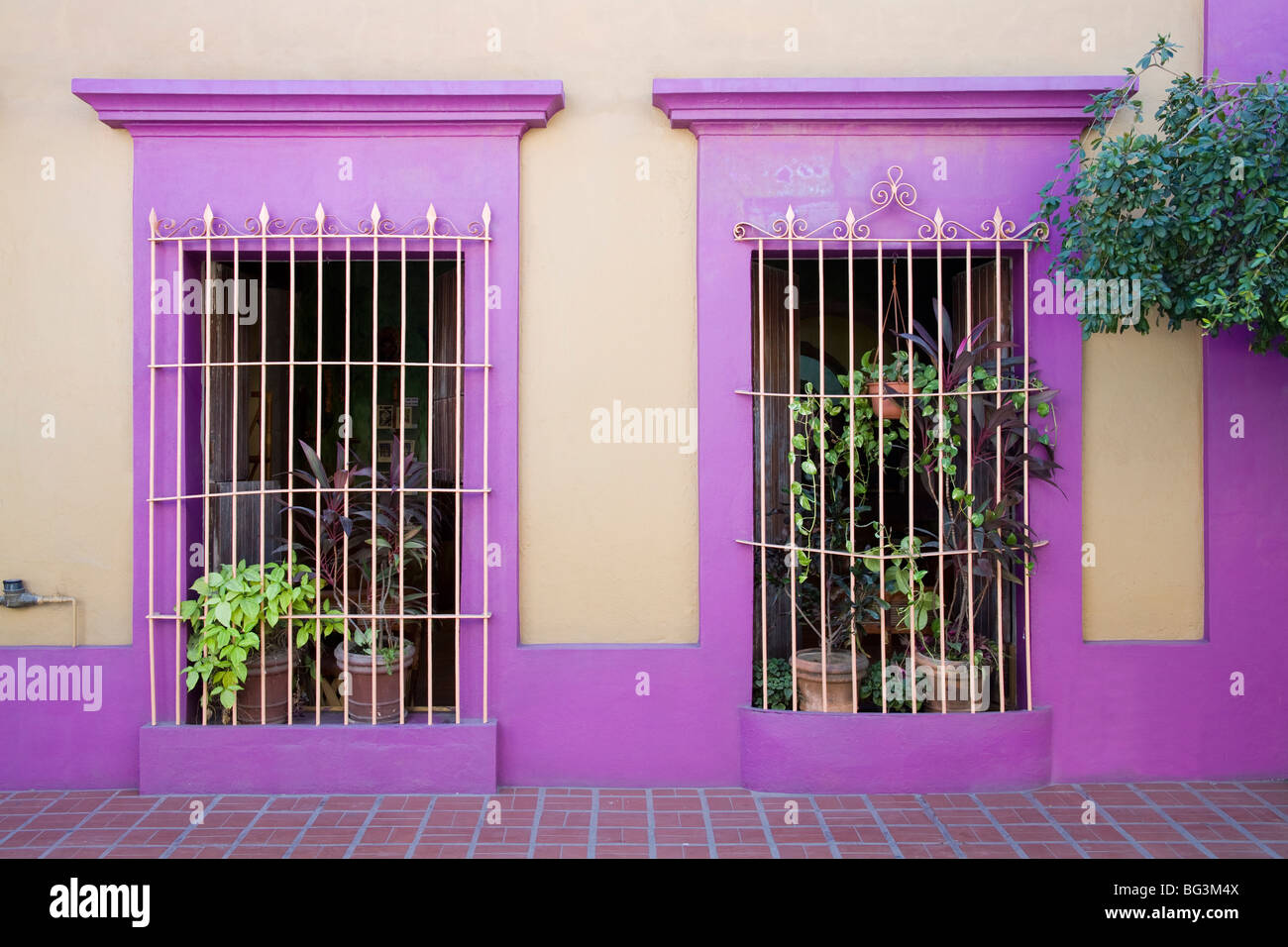 Nid Art Gallery, Old Town District, Mazatlan, Sinaloa State, Mexico, North America Stock Photo