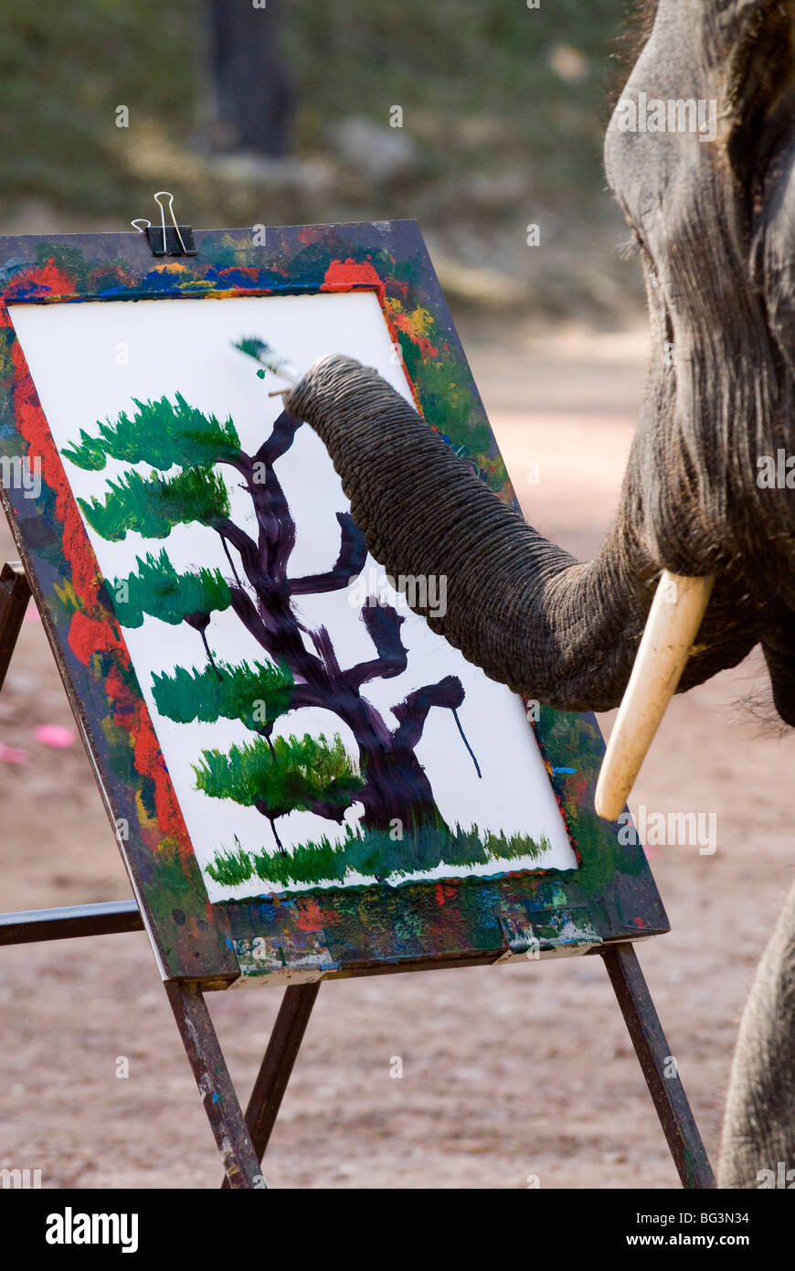 paintings of elephants