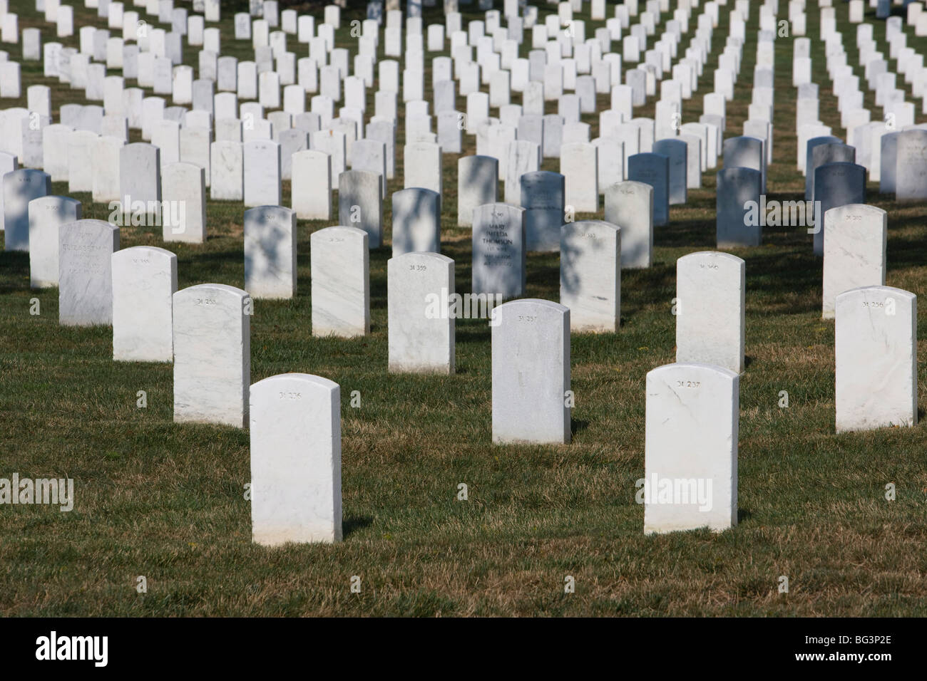 Military gravestones, Arlington National Cemetry, Washington D.C., United States of America, North America Stock Photo
