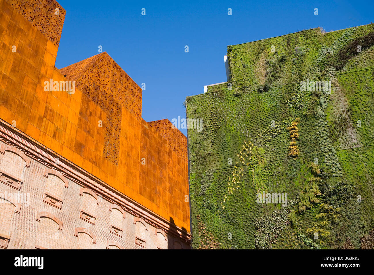 Vertical garden by Patrick Blanc, Caixa Forum foundation, Madrid, Spain, Europe Stock Photo